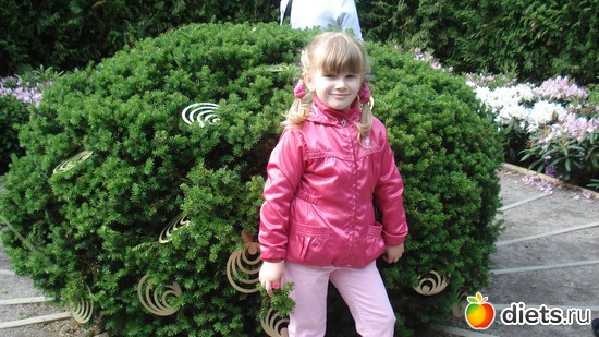 16 ����: ������������� ���� ������, ������������ ����.