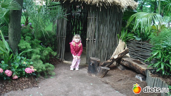 18 ����: ������������� ���� ������, ������������ ����.