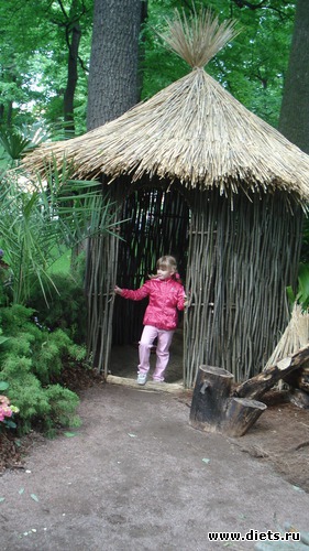 24 ����: ������������� ���� ������, ������������ ����.