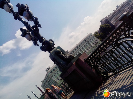 53 фото: Дорога домой!