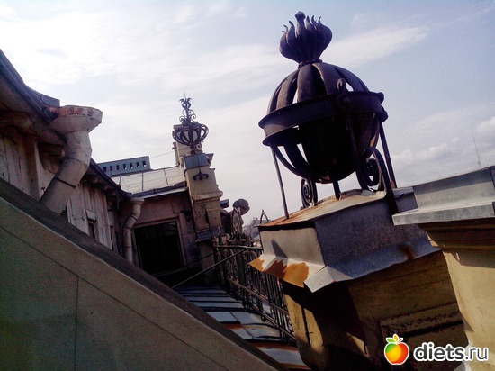 14 ����: ��������