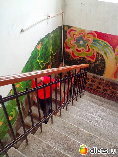 26 ����: ��������