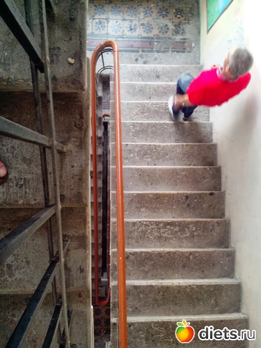 27 ����: ��������