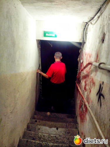 29 ����: ��������