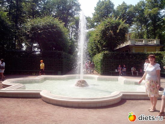 39 фото: Летний сад Петербурга