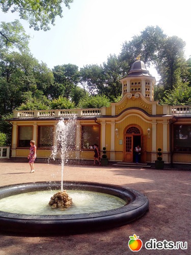 41 фото: Летний сад Петербурга