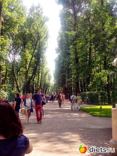 50 фото: Летний сад Петербурга