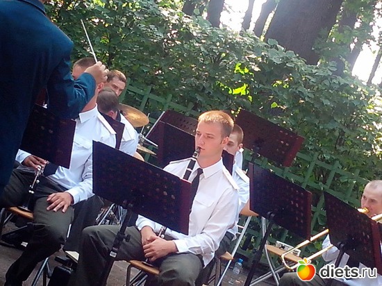 55 фото: Летний сад Петербурга