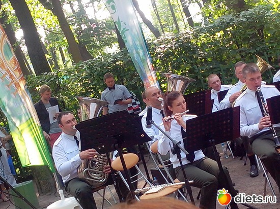 57 фото: Летний сад Петербурга