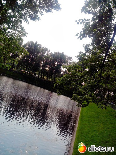 59 фото: Летний сад Петербурга