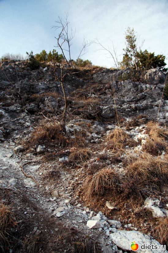 224 фото: Салоники-Халкидики-Лутраки декабрь 2012-январь 2013