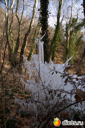 190 фото: Салоники-Халкидики-Лутраки декабрь 2012-январь 2013