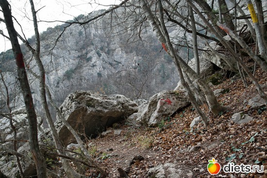 199 фото: Салоники-Халкидики-Лутраки декабрь 2012-январь 2013