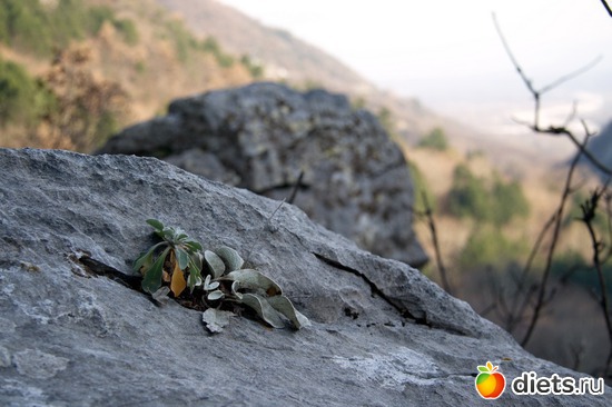 200 фото: Салоники-Халкидики-Лутраки декабрь 2012-январь 2013