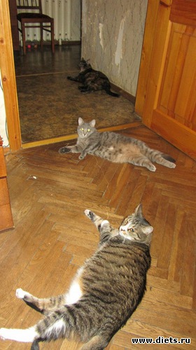 1 ����: ����