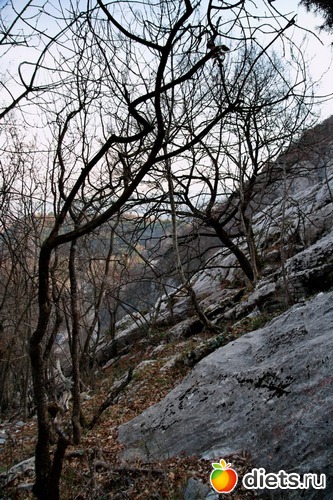 209 фото: Салоники-Халкидики-Лутраки декабрь 2012-январь 2013