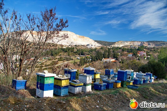 215 фото: Салоники-Халкидики-Лутраки декабрь 2012-январь 2013
