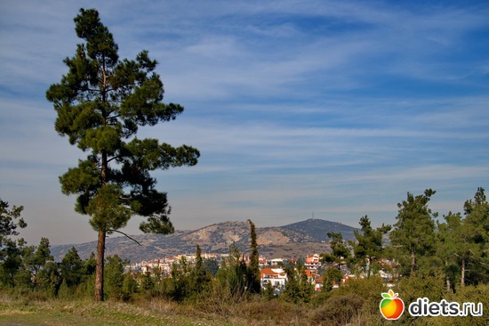 220 фото: Салоники-Халкидики-Лутраки декабрь 2012-январь 2013
