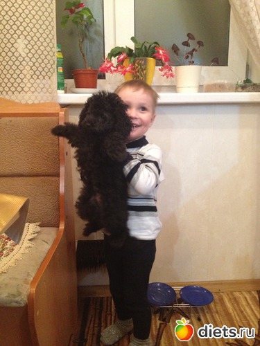 ���� 2,5  ����  � ����� �������� 4���., ������: ��� ��� ���