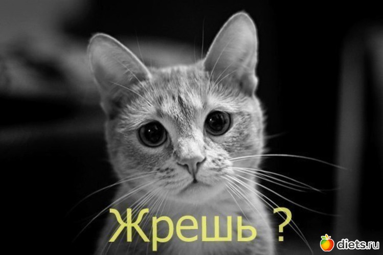 14 ����: ������ �������