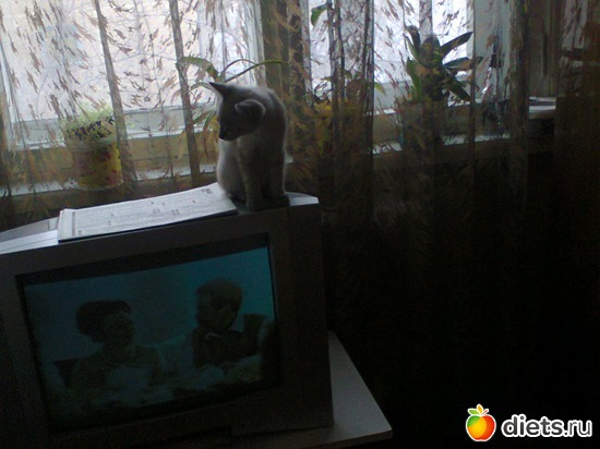 15 ����: ����� �����