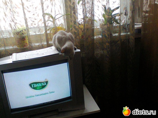 16 ����: ����� �����