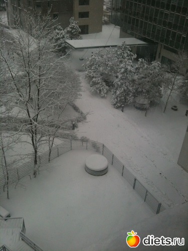 1 ����: �������� � ����