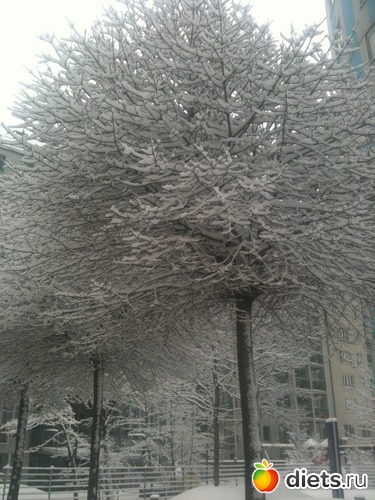 2 ����: �������� � ����