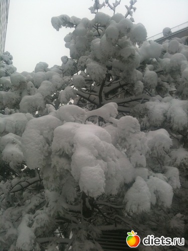 3 ����: �������� � ����