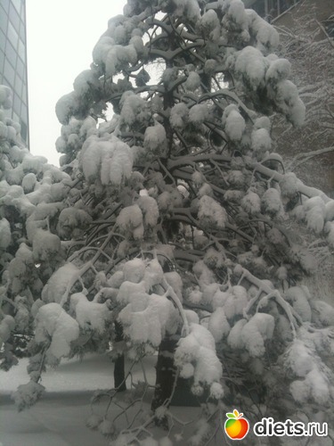 6 ����: �������� � ����