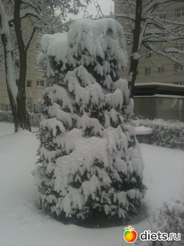 8 ����: �������� � ����