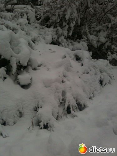 9 ����: �������� � ����