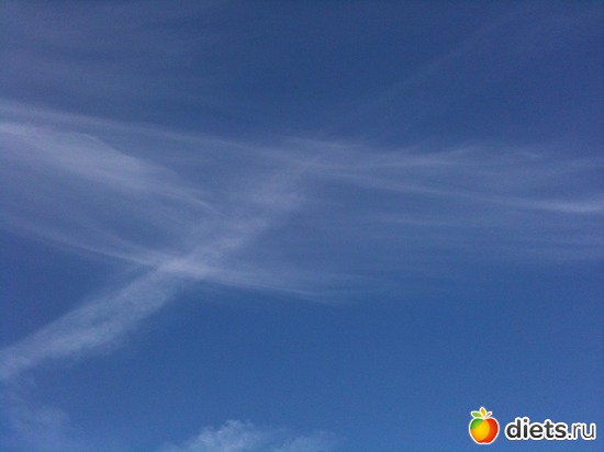 1 ����: ����