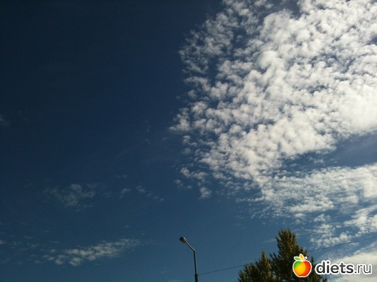 2 ����: ����