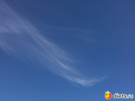 4 ����: ����