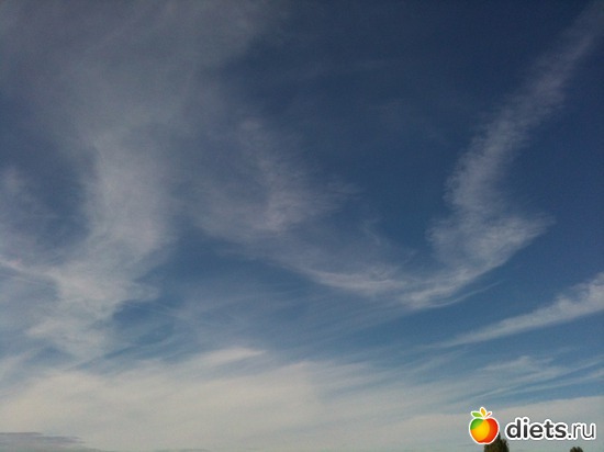 5 ����: ����