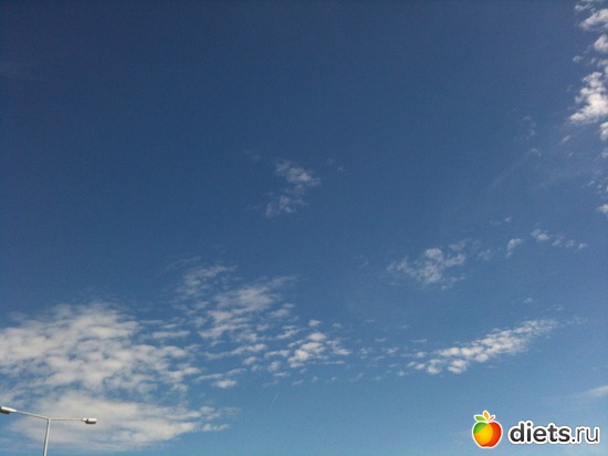 6 ����: ����