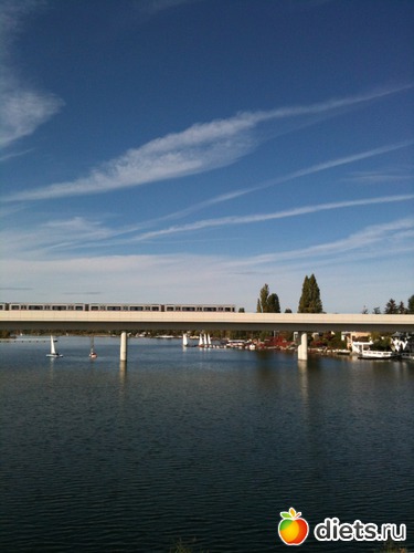 8 ����: ����