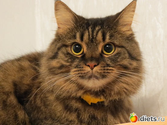 2 ����: ��� ����