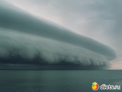 ������ �������