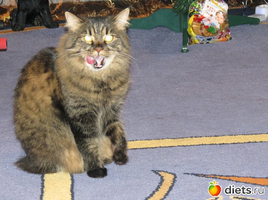 3 ����: ��� ����