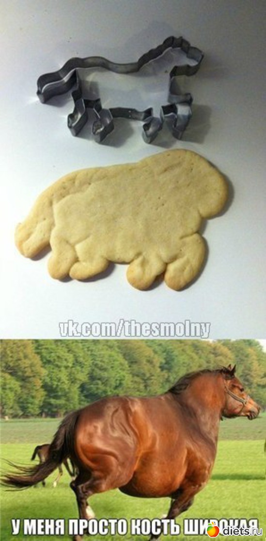 9 ����: ������� ����� ���������� ��������-���������!!!