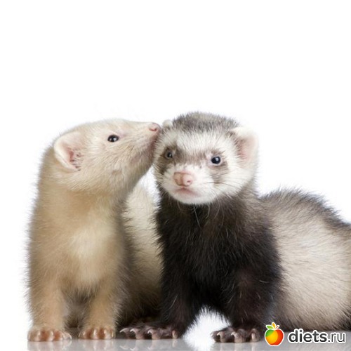 1 ����: ����=)