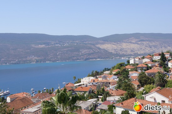 5 ����: �����, ����� ��� ����.