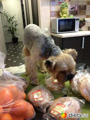 7 ����: ��� �������