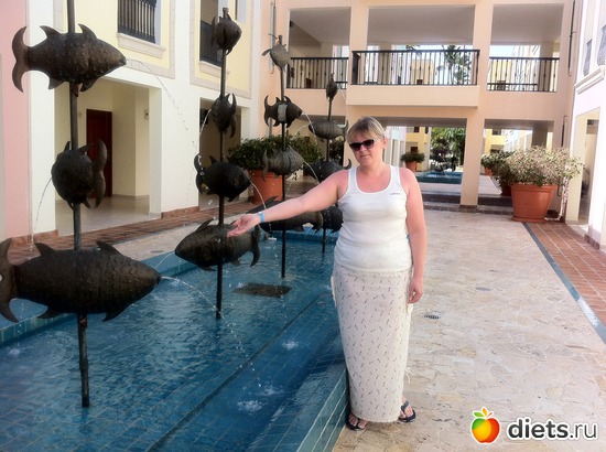 �����, ������: ���������� 2013