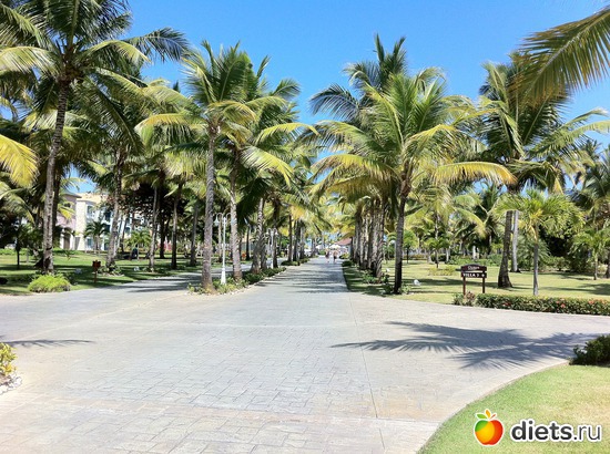 14 ����: ���������� 2013