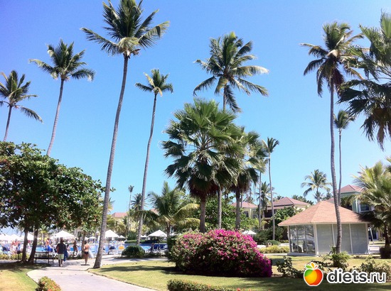 15 ����: ���������� 2013