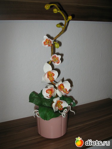 2 ����: �� �����