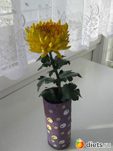 14 ����: �� �����